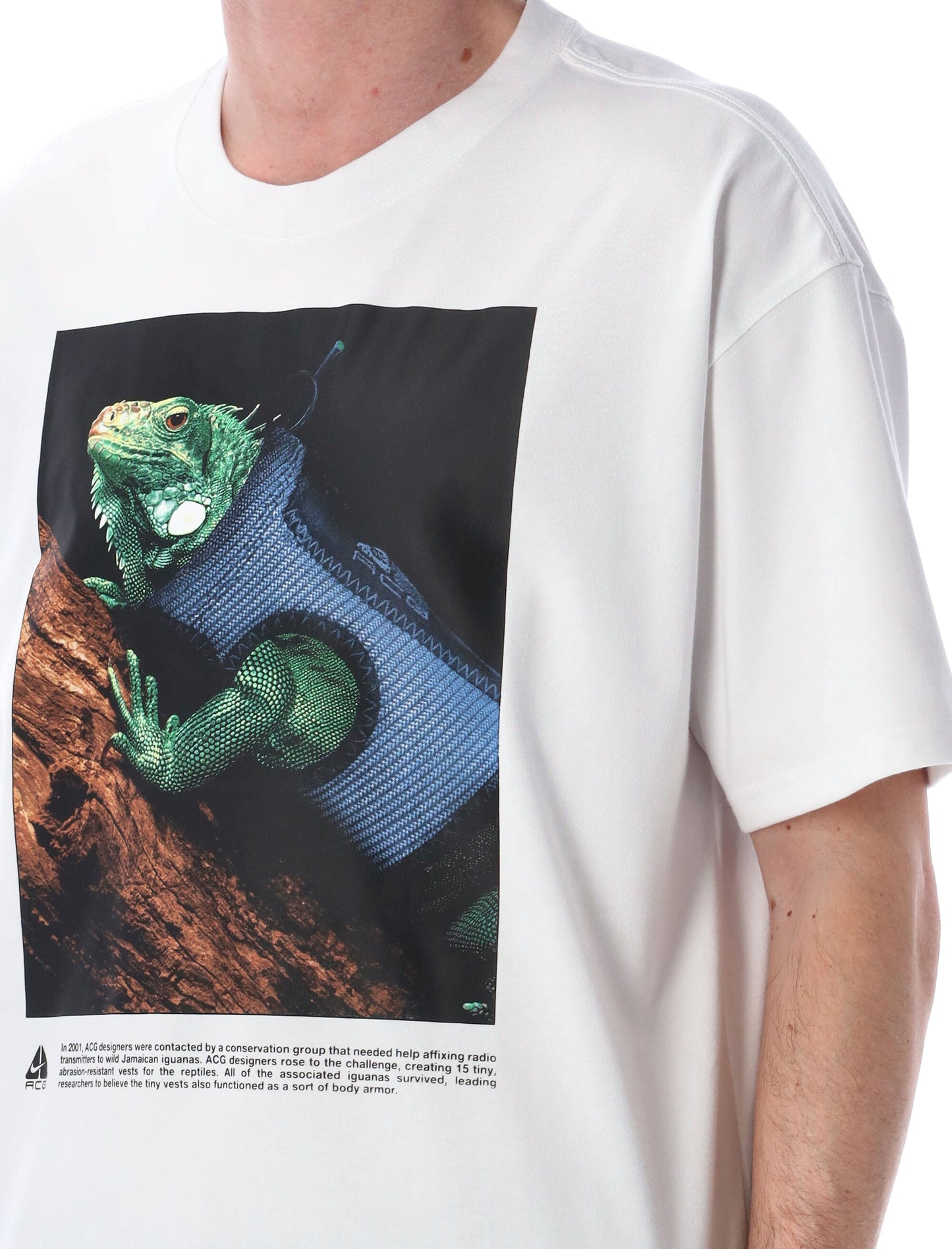 Nike Acg Iguana Tee
