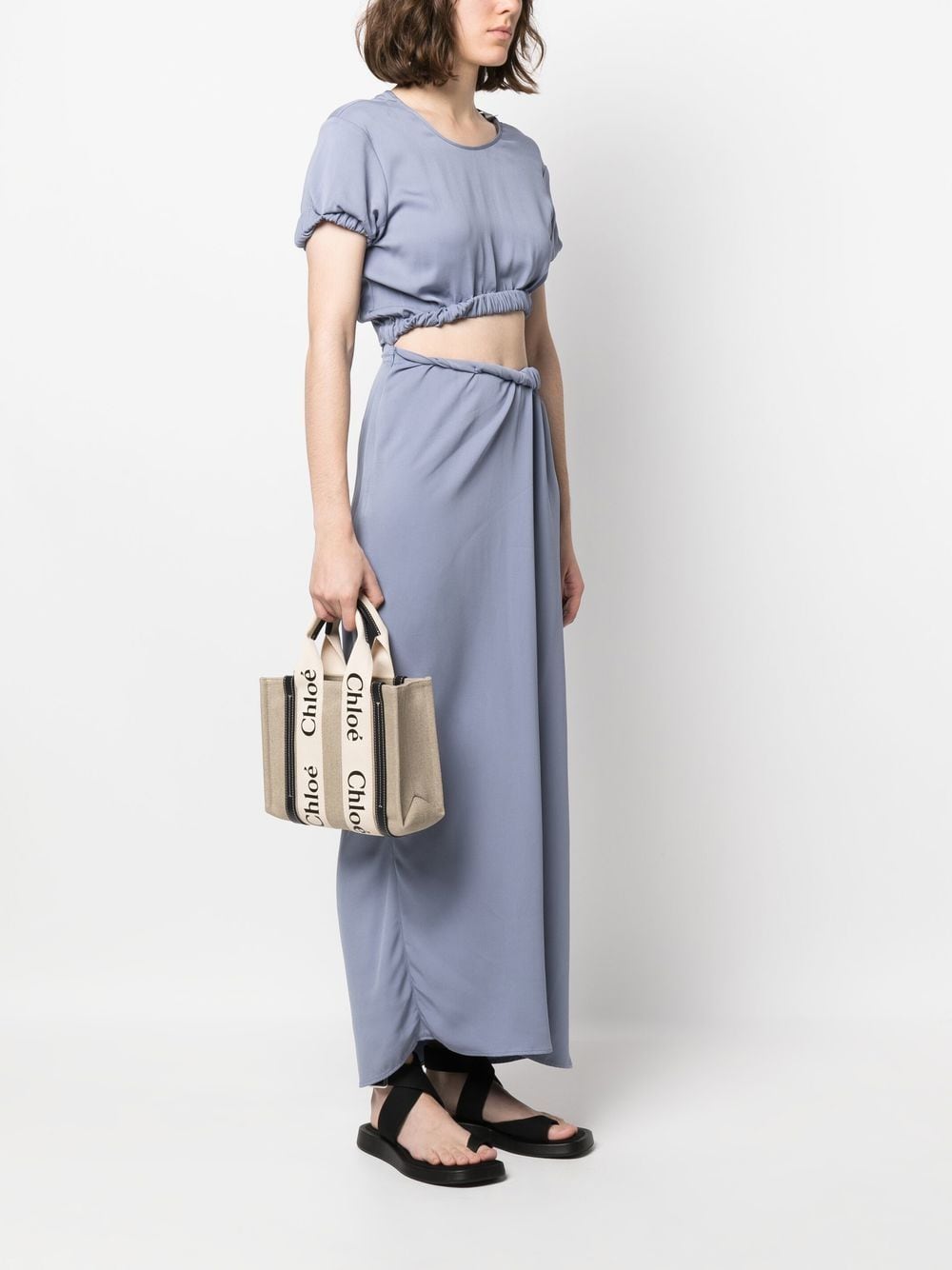 Chloé Woody Small Canvas Tote
