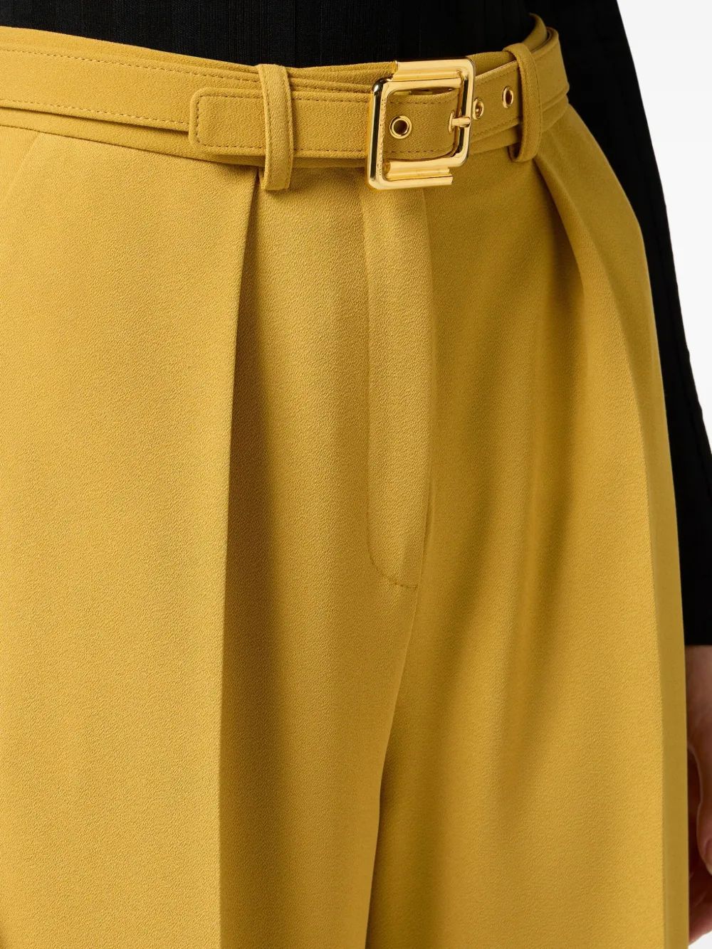 Elisabetta Franchi Pistachio Pleated Pants With Belt